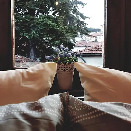 On Top * Крушево